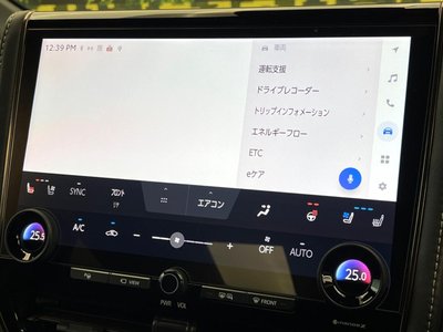 2025 Toyota ALPHARD thumbnail 58