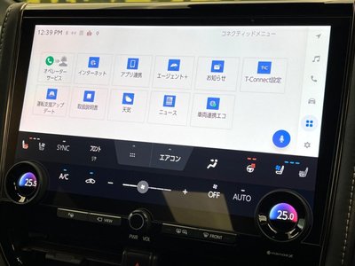2025 Toyota ALPHARD thumbnail 59