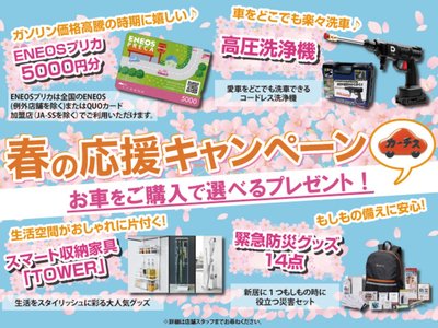 TOYOTA LAND CRUISER PRADO - 3