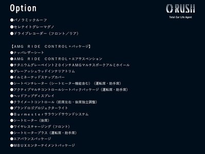 MERCEDES-BENZ AMG GT - 2