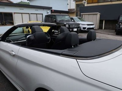 2018 BMW 4 SERIES CABRIOLET thumbnail 30