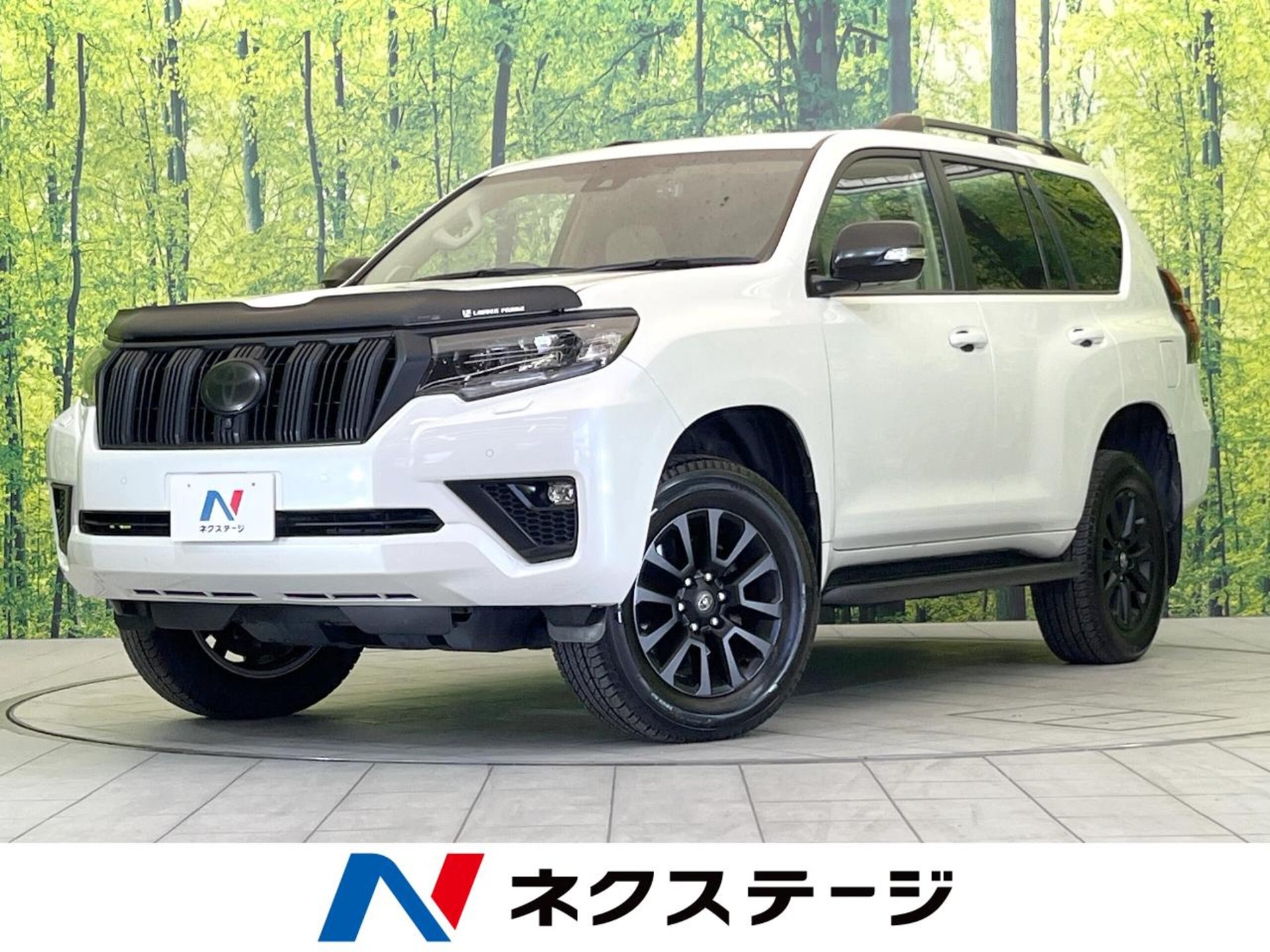 TOYOTA LAND CRUISER PRADO - View 1