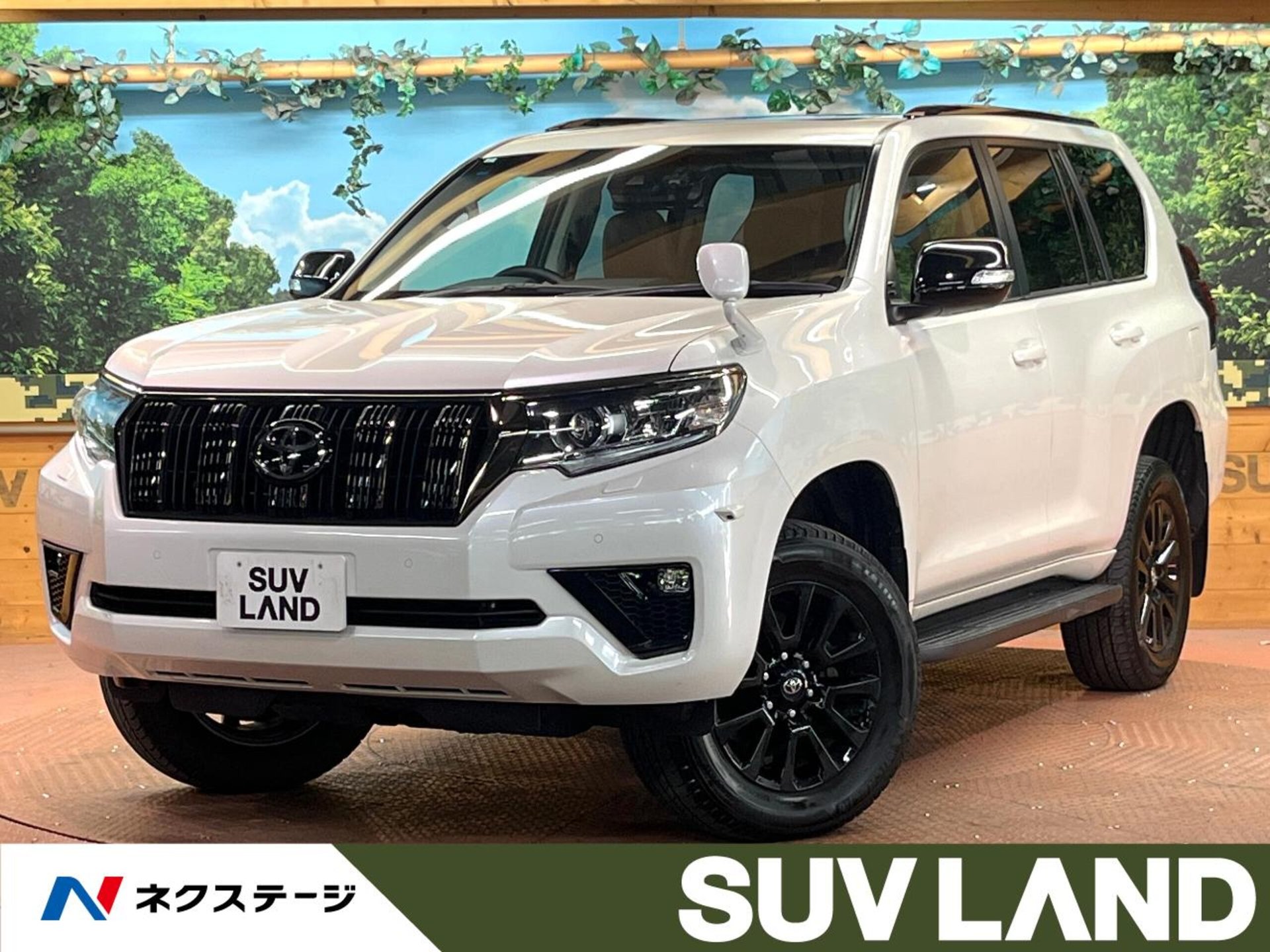 TOYOTA LAND CRUISER PRADO - View 1