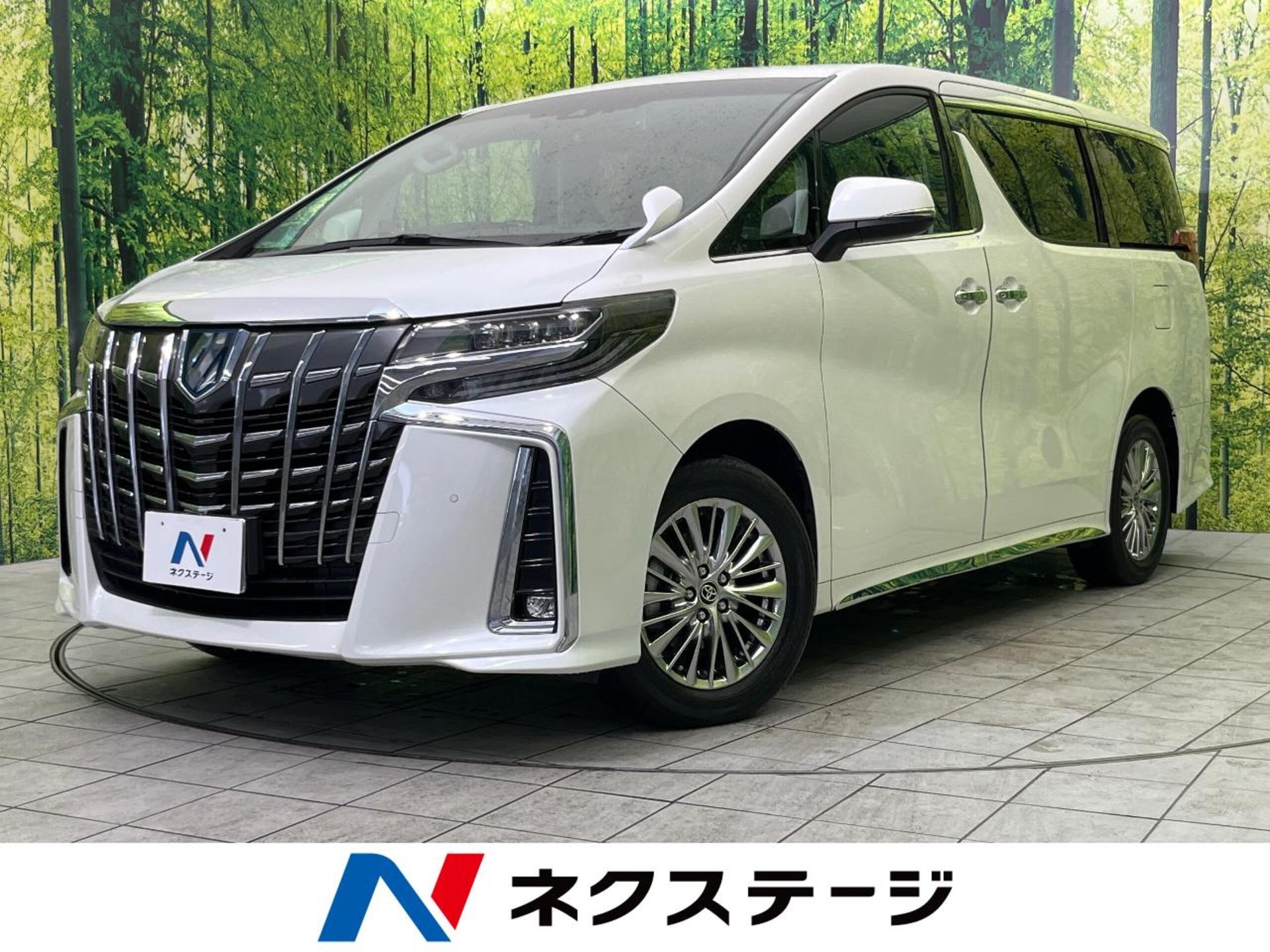 TOYOTA ALPHARD - View 1