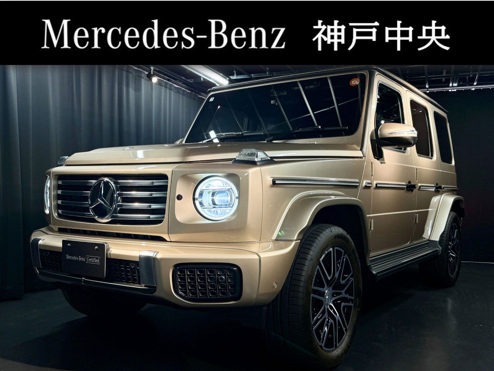 MERCEDES-BENZ G-CLASS - View 1