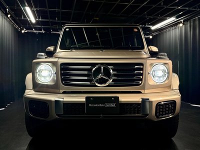 MERCEDES-BENZ G-CLASS - 2