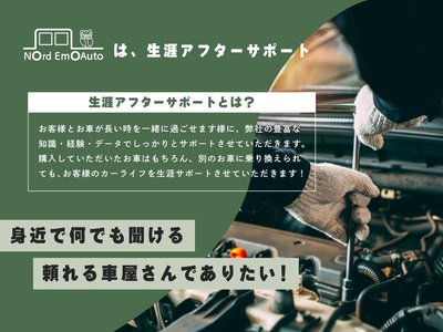 TOYOTA LAND CRUISER 250 - 6