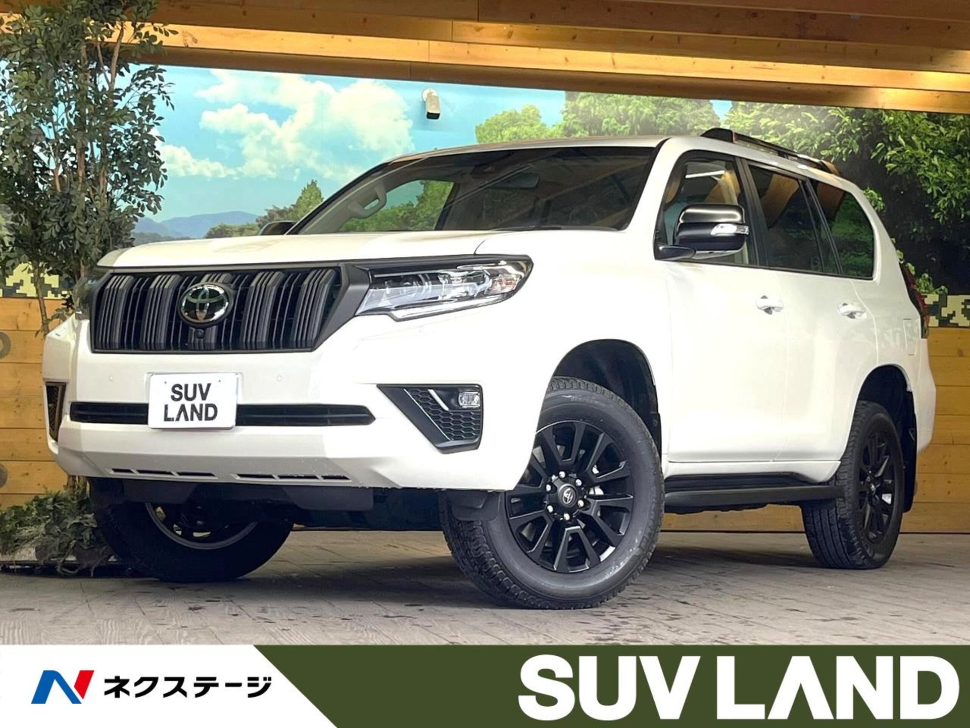 TOYOTA LAND CRUISER PRADO - View 1