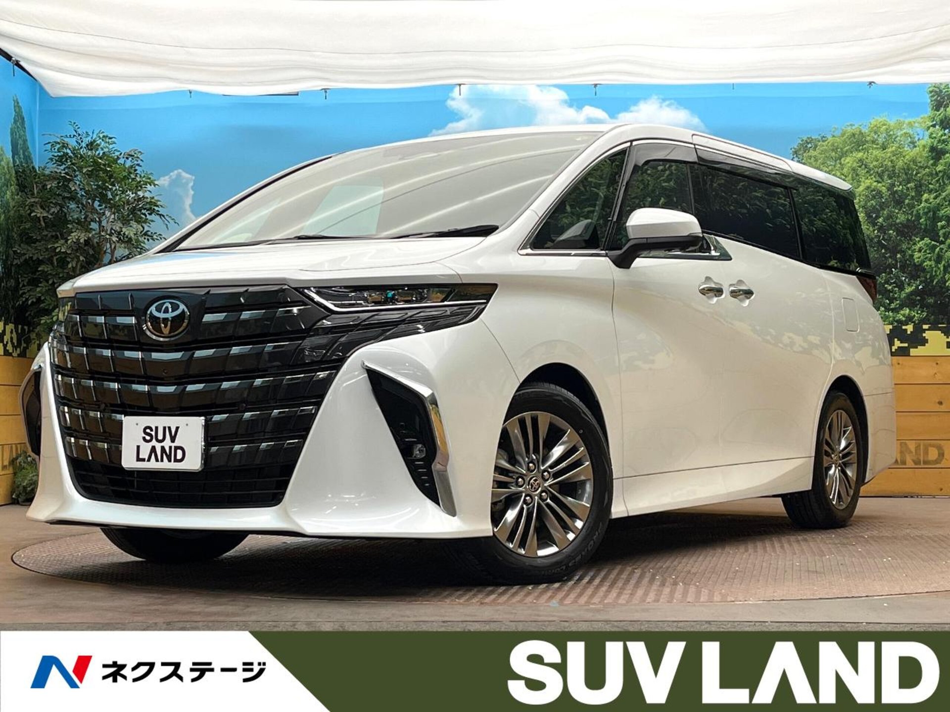 TOYOTA ALPHARD - View 1