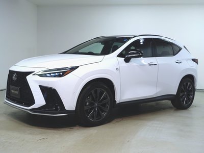 LEXUS NX - 1