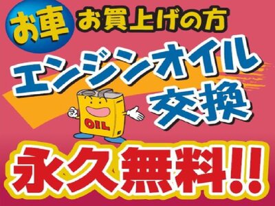 TOYOTA LAND CRUISER 300 - 4