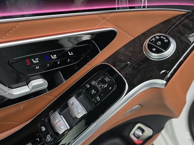 2021 Mercedes-BENZ S-CLASS 缩略图 30