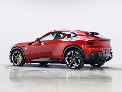 FERRARI PUROSANGUE - 10