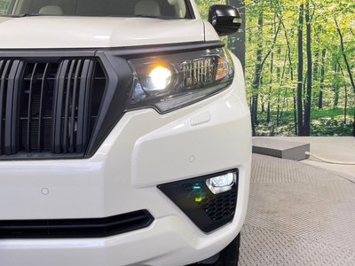 2022 Toyota LAND CRUISER PRADO — миниатюра 13