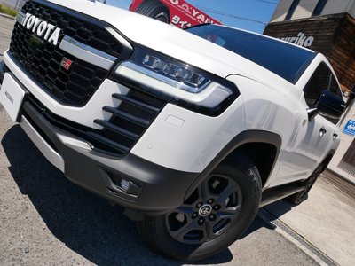 2023 Toyota LAND CRUISER 300 缩略图 11