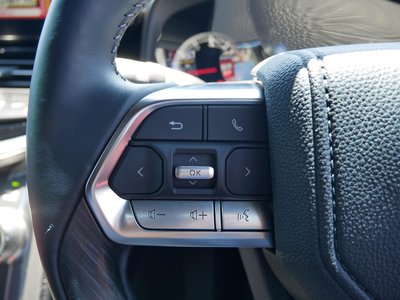 2023 Toyota LAND CRUISER 300 缩略图 38