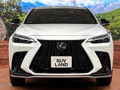 2023 Lexus NX — миниатюра 14
