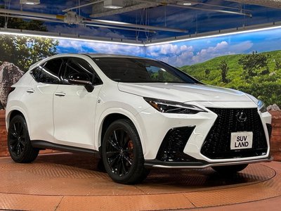 2023 Lexus NX — миниатюра 16