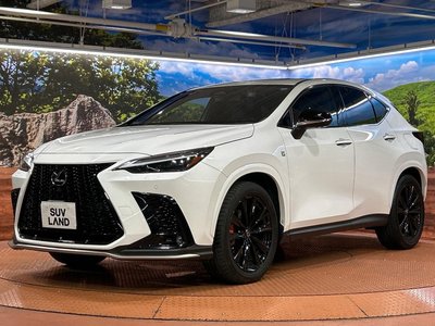 2023 Lexus NX — миниатюра 40