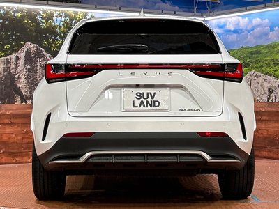 2023 Lexus NX — миниатюра 15