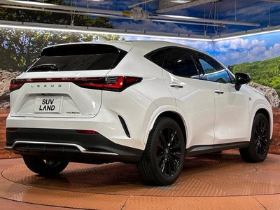 2023 Lexus NX — миниатюра 17