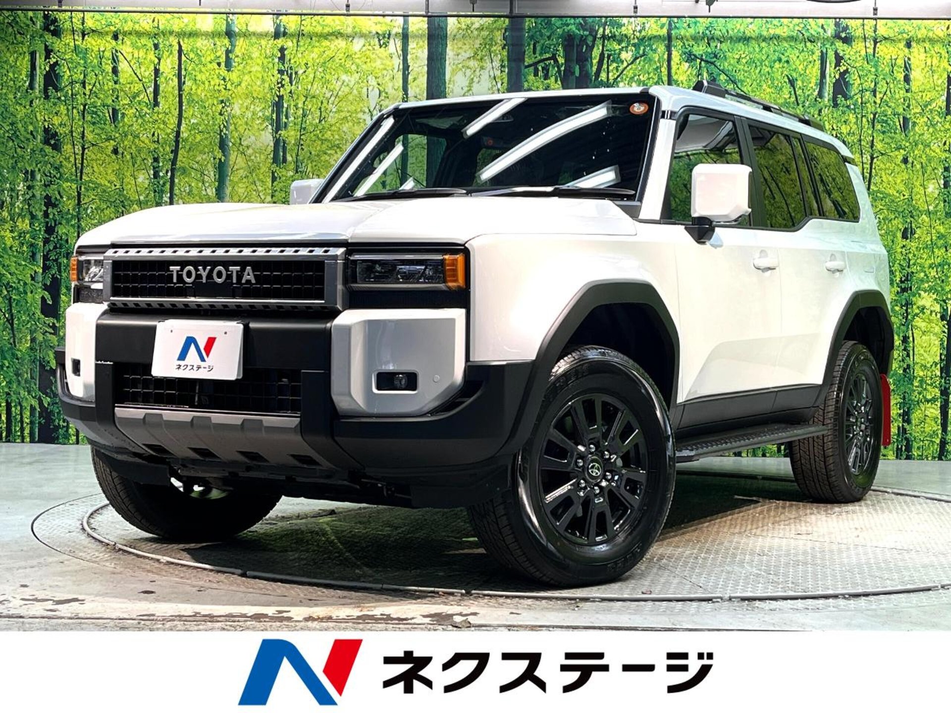 TOYOTA LAND CRUISER 250 - View 1