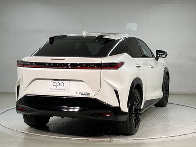 2023 Lexus RZ 照片 5