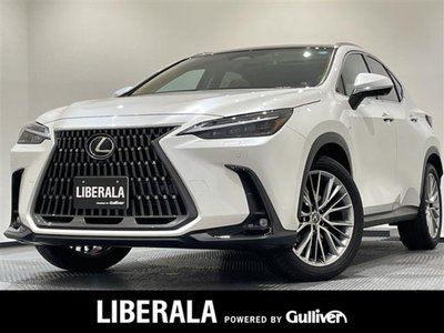 LEXUS NX - 1