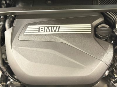 2025 BMW X1 缩略图 67