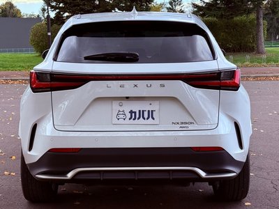 LEXUS NX - 4