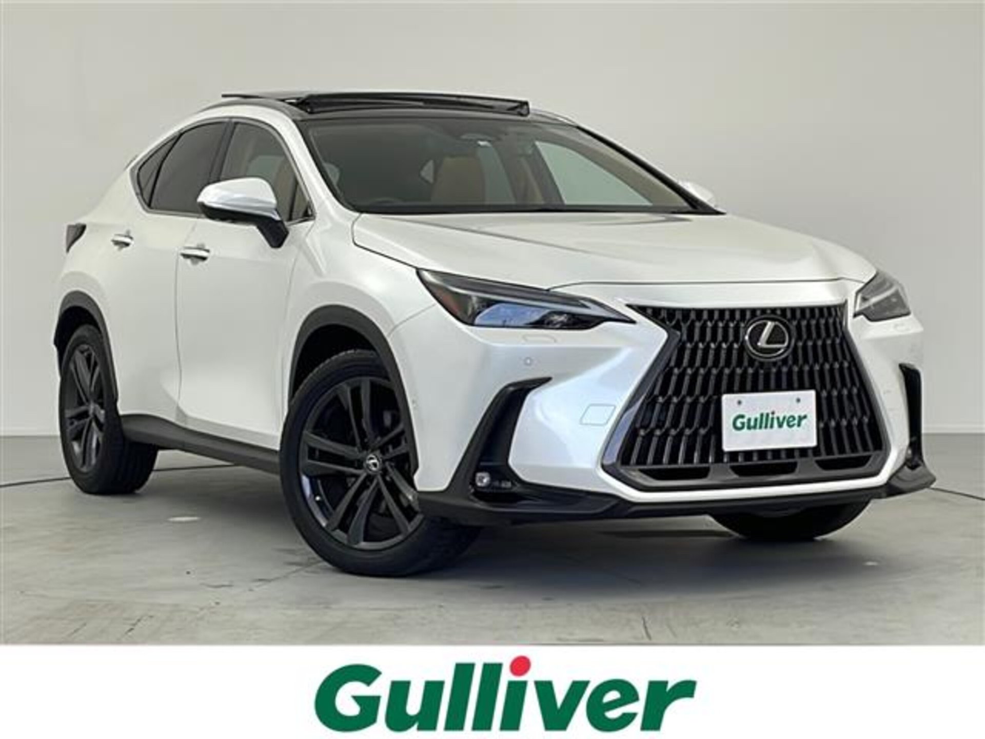 LEXUS NX - View 1