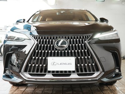 LEXUS NX - 10