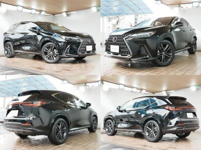 LEXUS NX - 3