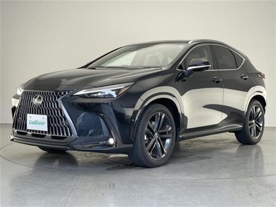 2025 Lexus NX thumbnail 22