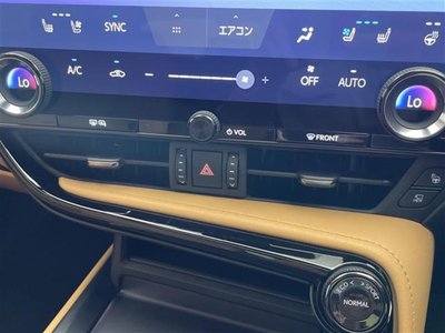 2025 Lexus NX thumbnail 21