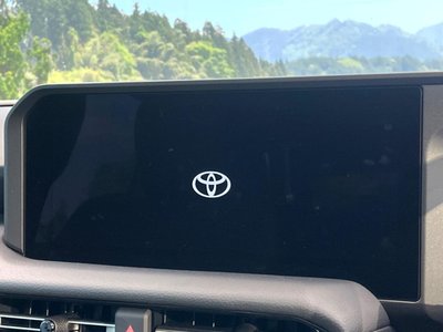 TOYOTA LAND CRUISER 250 - 3