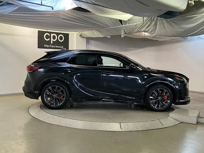 2023 Lexus RX 照片 9