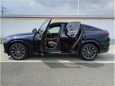 صورة مصغرة 42 لـ 2021 BMW X6