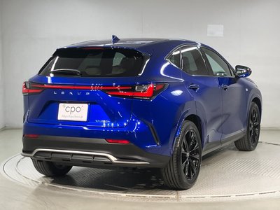 LEXUS NX - 6