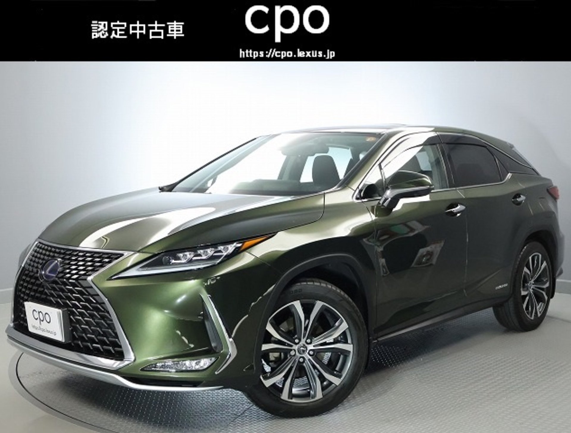 LEXUS RX - View 1