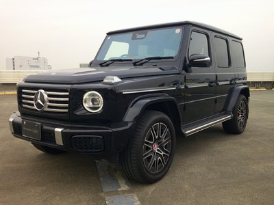 MERCEDES-BENZ G-CLASS - 1