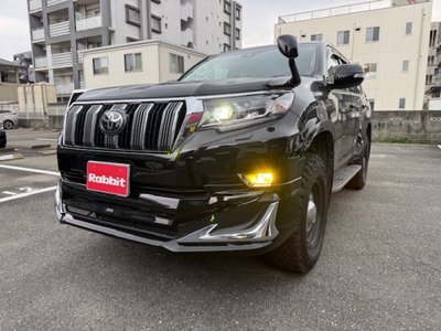 TOYOTA LAND CRUISER PRADO - 5