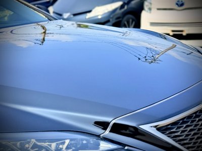 2018 Lexus LS 缩略图 19