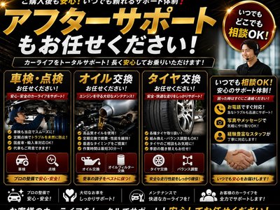 2018 Lexus LS 缩略图 77