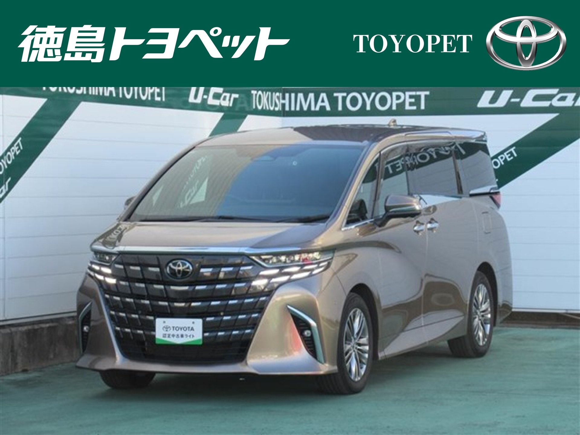 TOYOTA ALPHARD - View 1