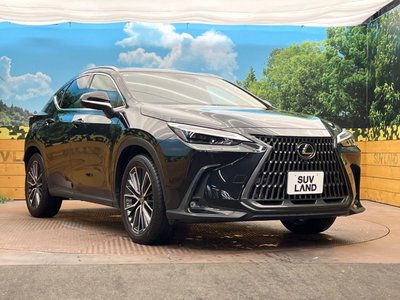صورة مصغرة 16 لـ 2021 Lexus NX