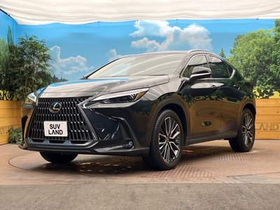 صورة مصغرة 31 لـ 2021 Lexus NX