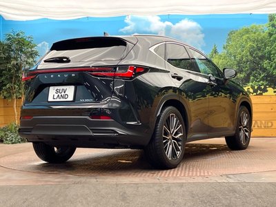 صورة مصغرة 17 لـ 2021 Lexus NX