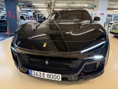2025 Ferrari PUROSANGUE 照片 4