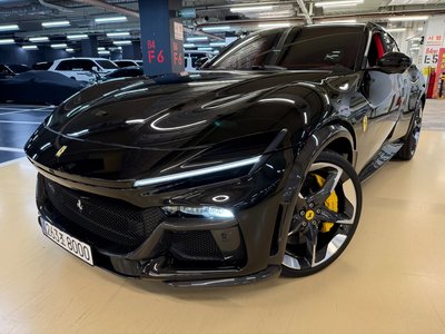 2025 Ferrari PUROSANGUE 照片 1